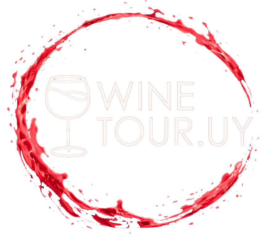 The Wine Tour